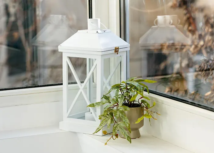 公寓 Urban Jungle Nest 布加勒斯特