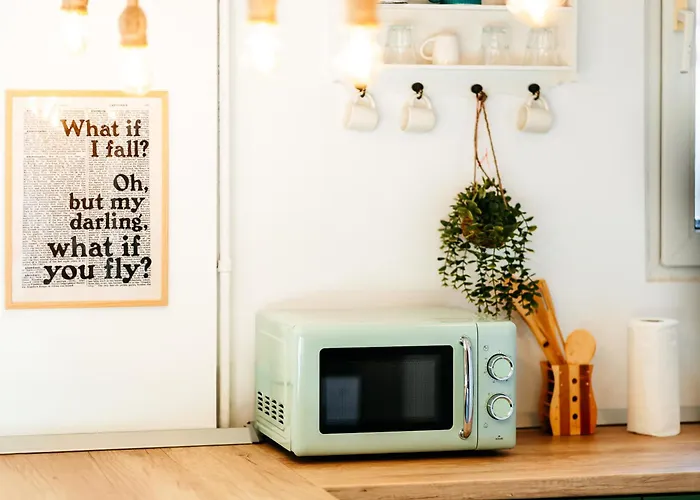 Urban Jungle Nest Bucarest