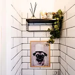 Urban Jungle Nest Апартаменти *