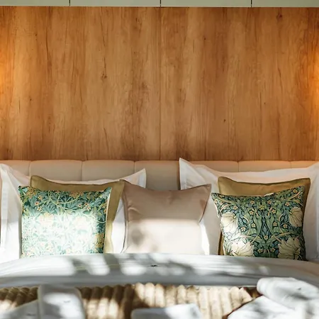 Urban Jungle Nest *