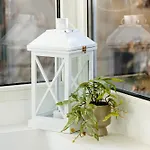 Lejlighed Urban Jungle Nest Bukarest